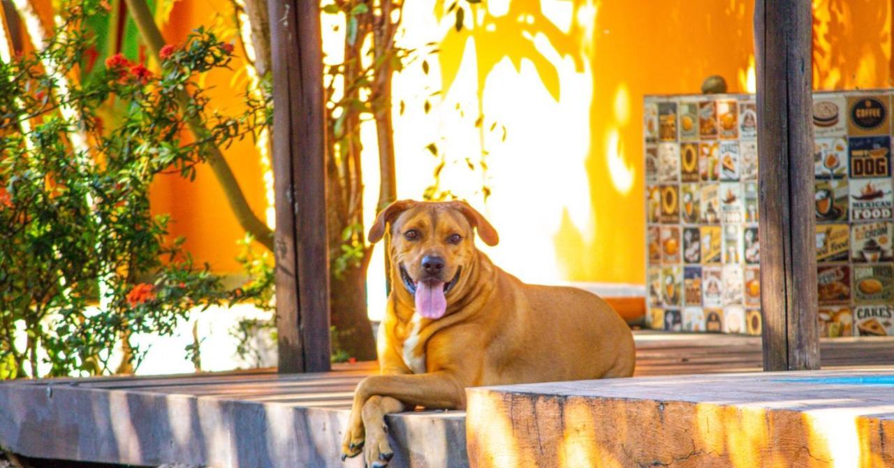 Oxe Uai Hostel Porto Seguro Dış mekan fotoğraf
