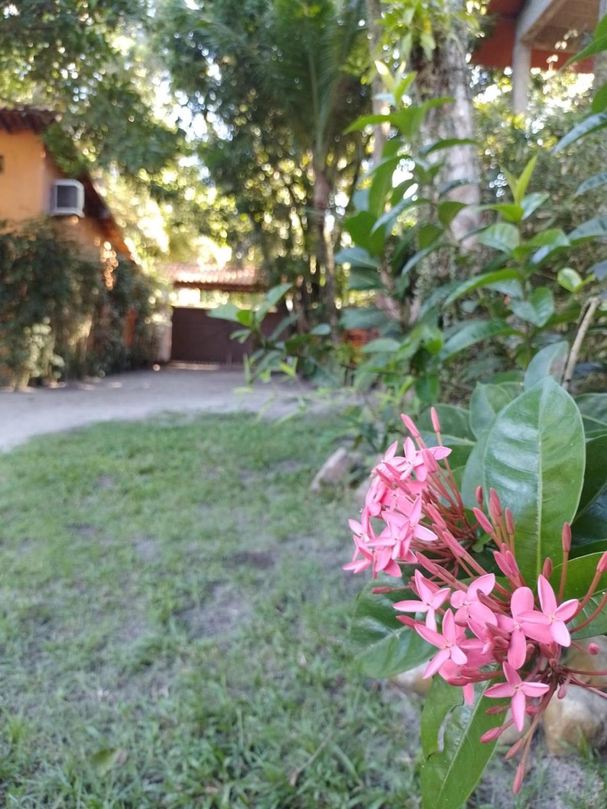 Oxe Uai Hostel Porto Seguro Dış mekan fotoğraf